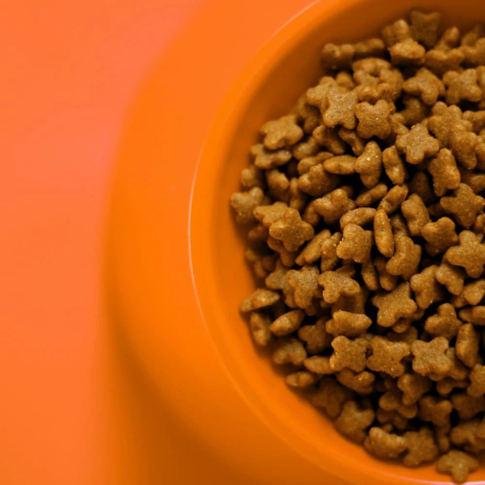 Tavuklu Yavru Köpek Maması