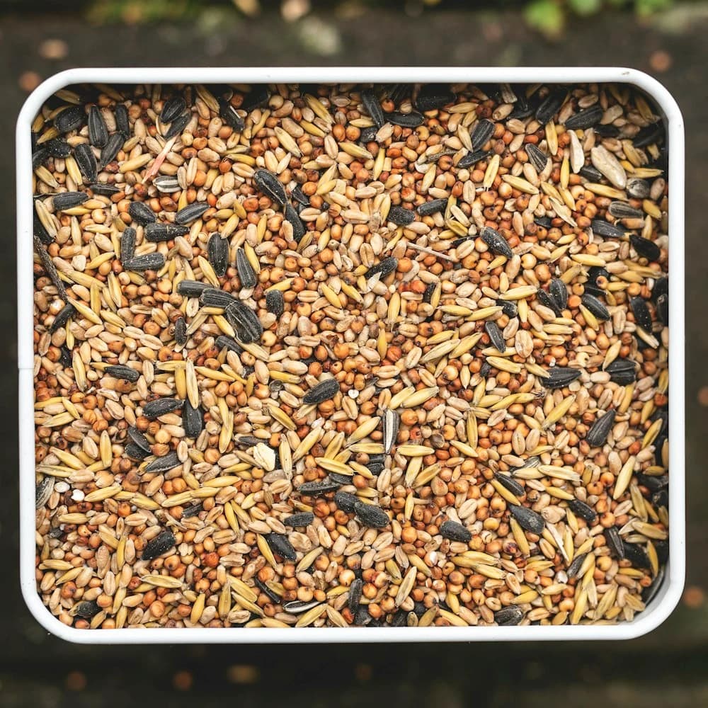 Muhabbet Kuşu Yemi 1 kg