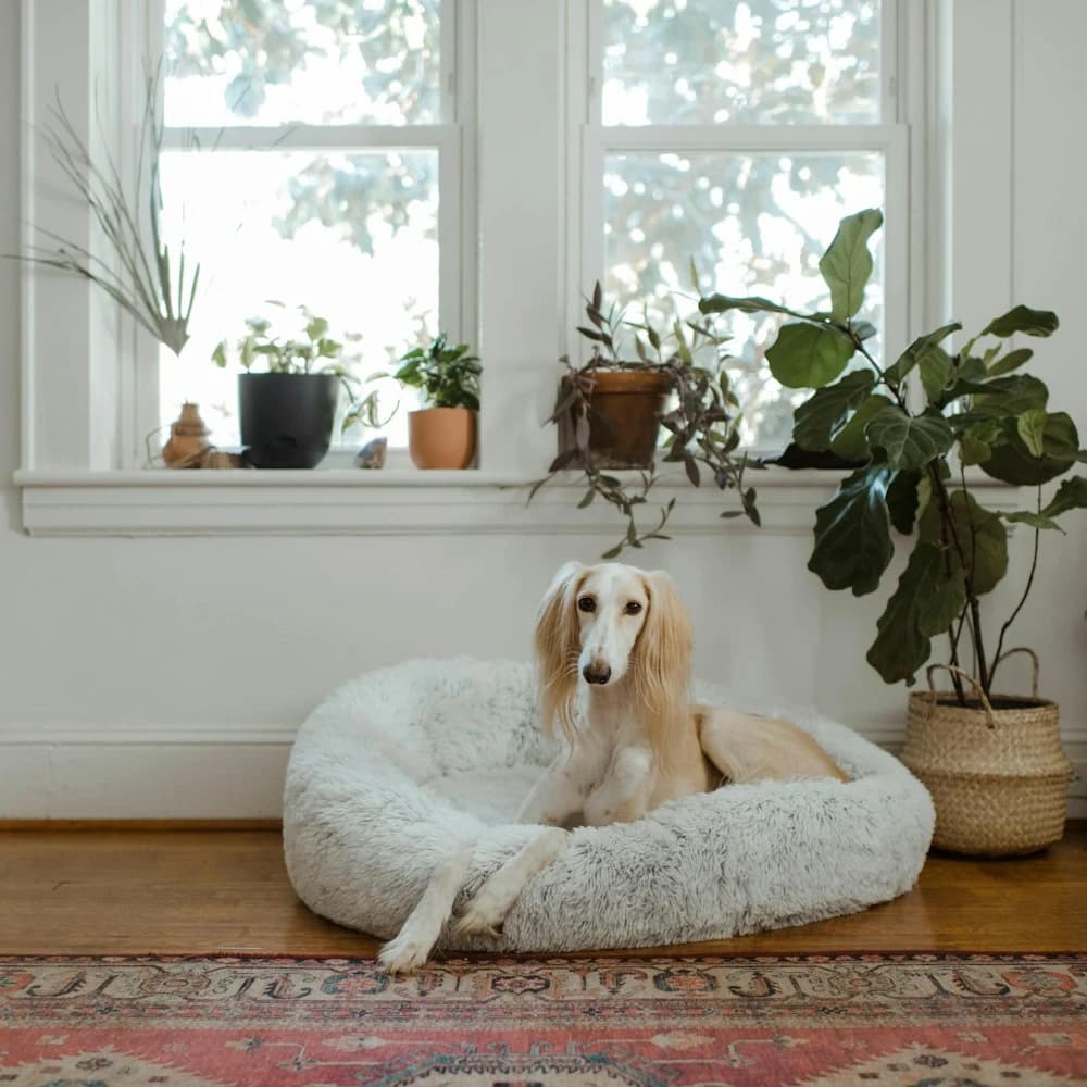 Donut Peluş Köpek Yatağı
