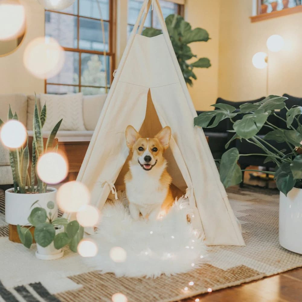 Kumaş Çadır Köpek Evi